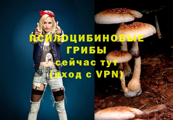 apvp Бугульма