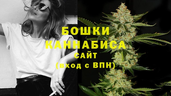 амф Янаул