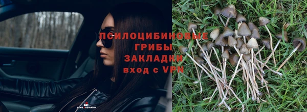 mdpv Верея